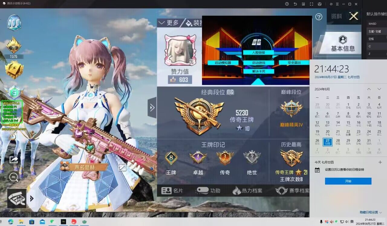 和平精英《诛仙》辅助