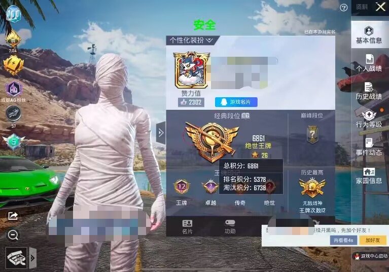 和平精英DDYS辅助