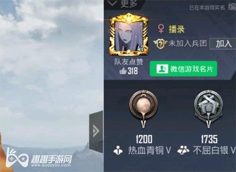 和平精英辅助【DODO】